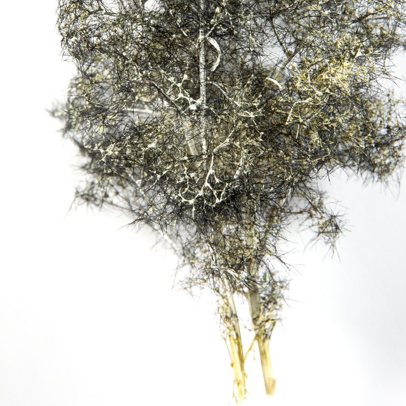 AK Interactive Black-White Fantasy Bushes 1/35 (AK8265) - Image 3