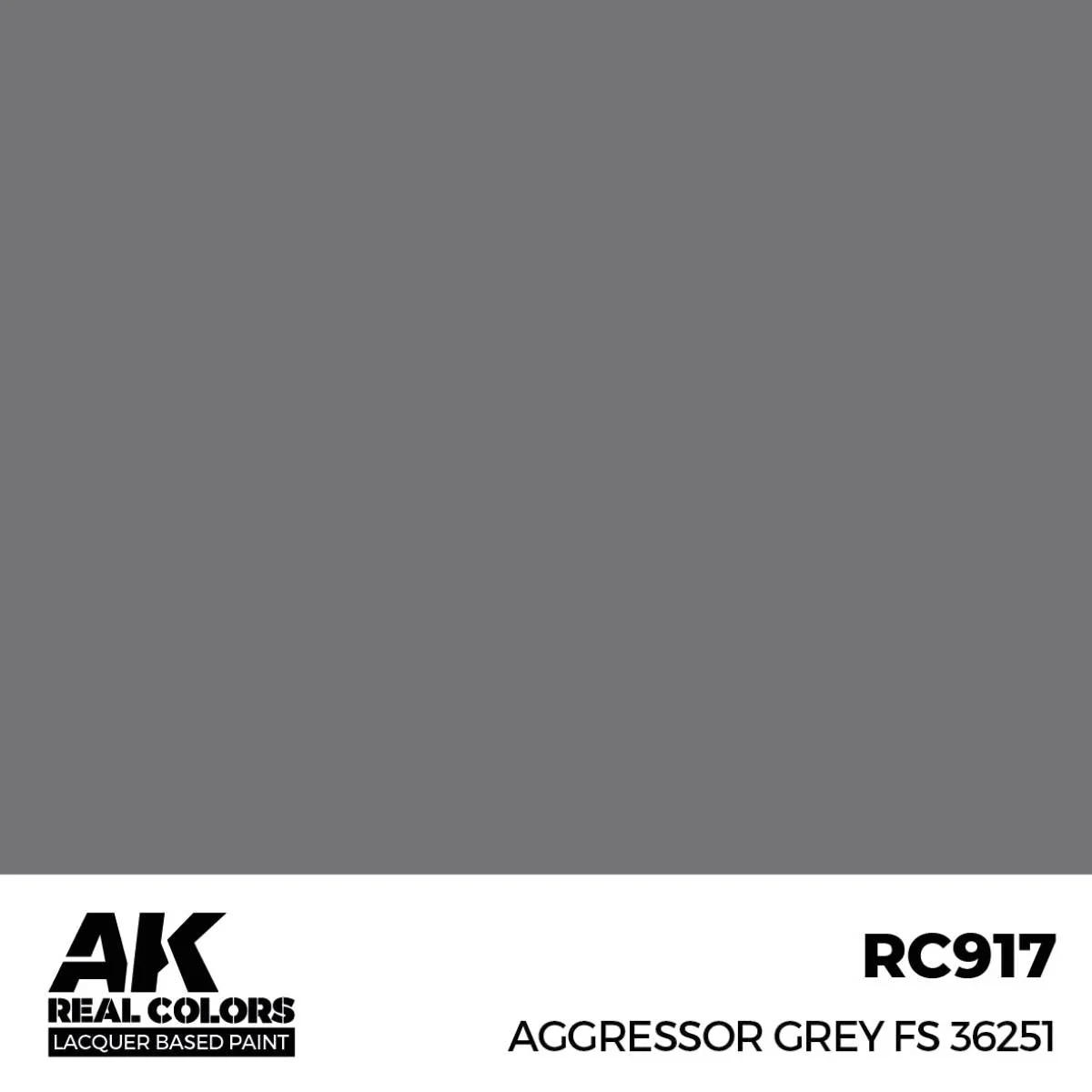 AK Interactive Real Colors - Aggressor Grey FS 36251 (RC917) - Image 2