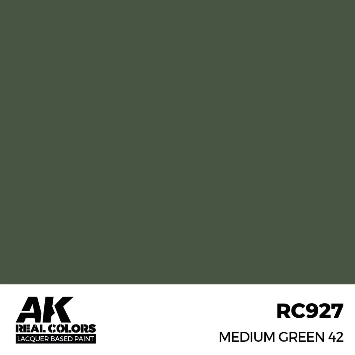 AK Interactive Real Colors - Medium Green 42 (RC927) - Image 2
