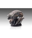 Alien Romulus Bust 1/1 Xenomorph 53cm ETA Sep 2026 - Image 2