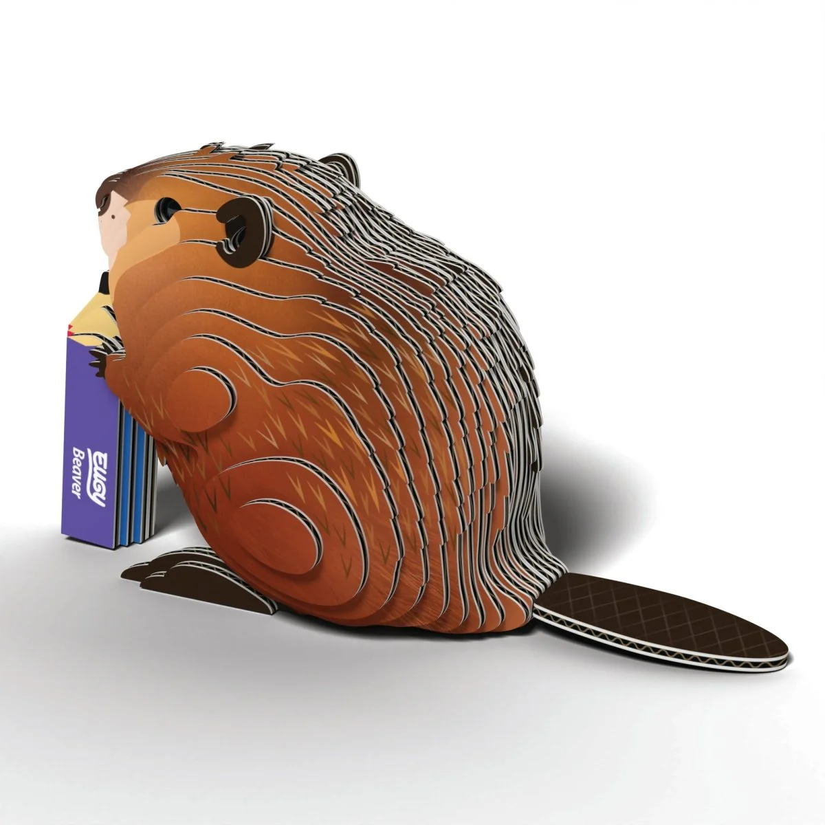 EUGY Beaver - Image 3