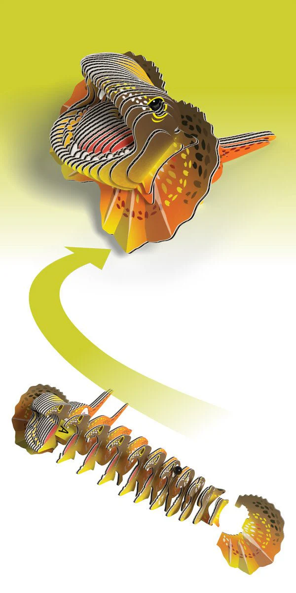 EUGY Frilled Lizard - Image 4