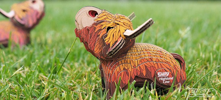 EUGY Highland Cow - Image 11