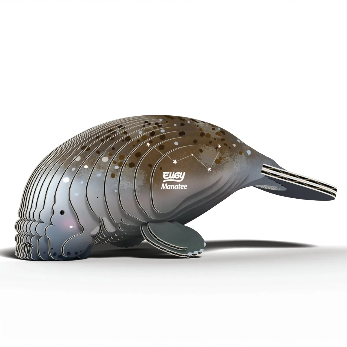 EUGY Manatee - Image 2