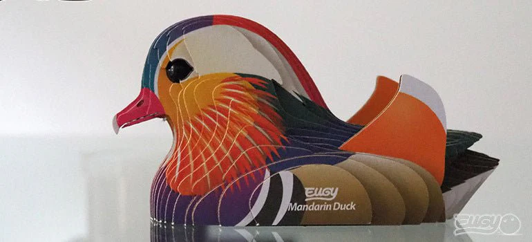 EUGY Mandarin Duck - Image 12