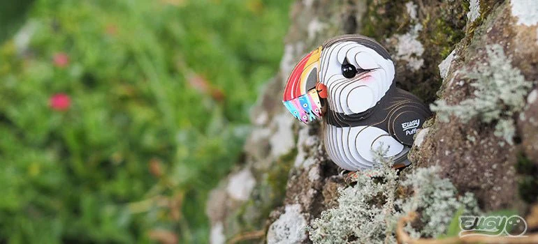 EUGY Puffin - Image 11