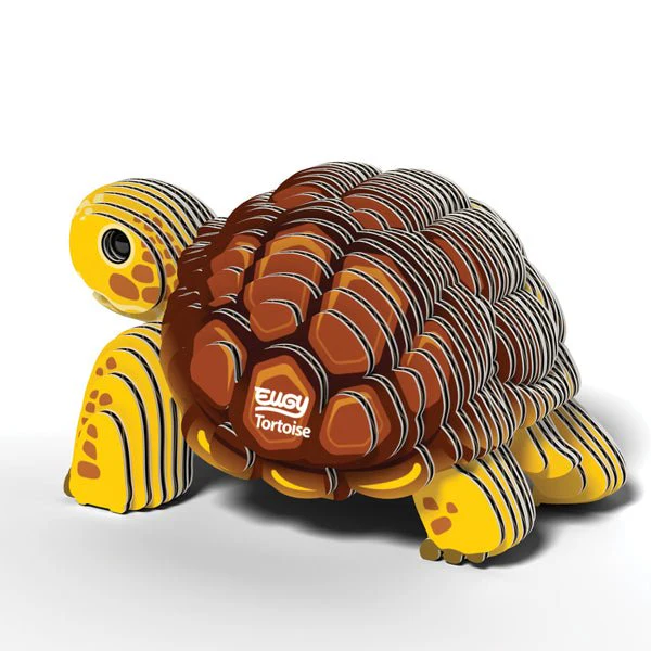 EUGY Tortoise - Image 2