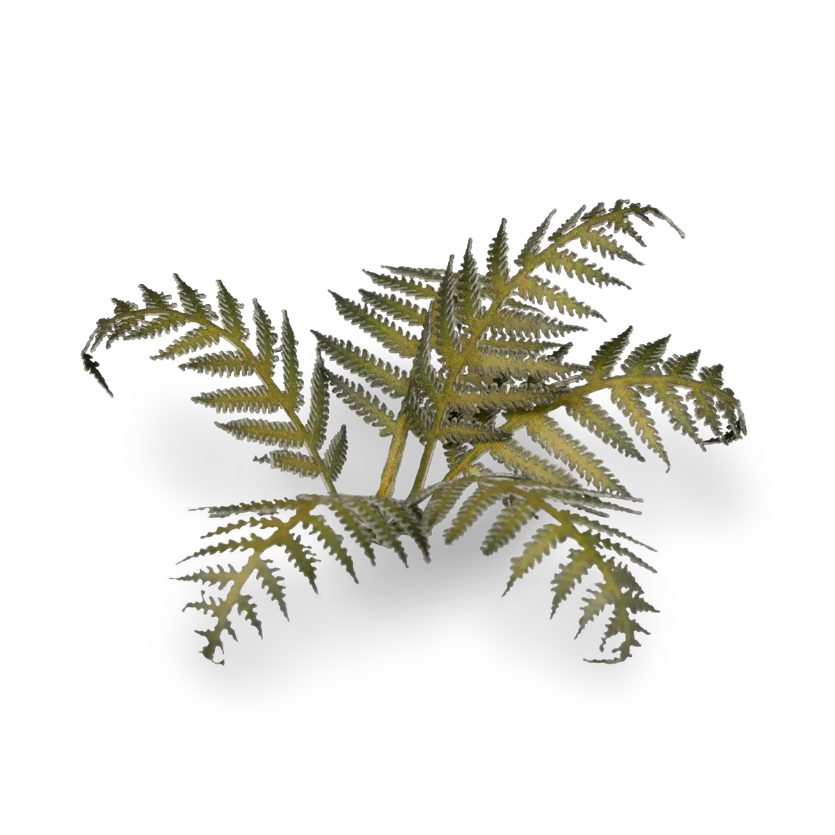 Gamers Grass Laser Plants - Bracken - Image 3