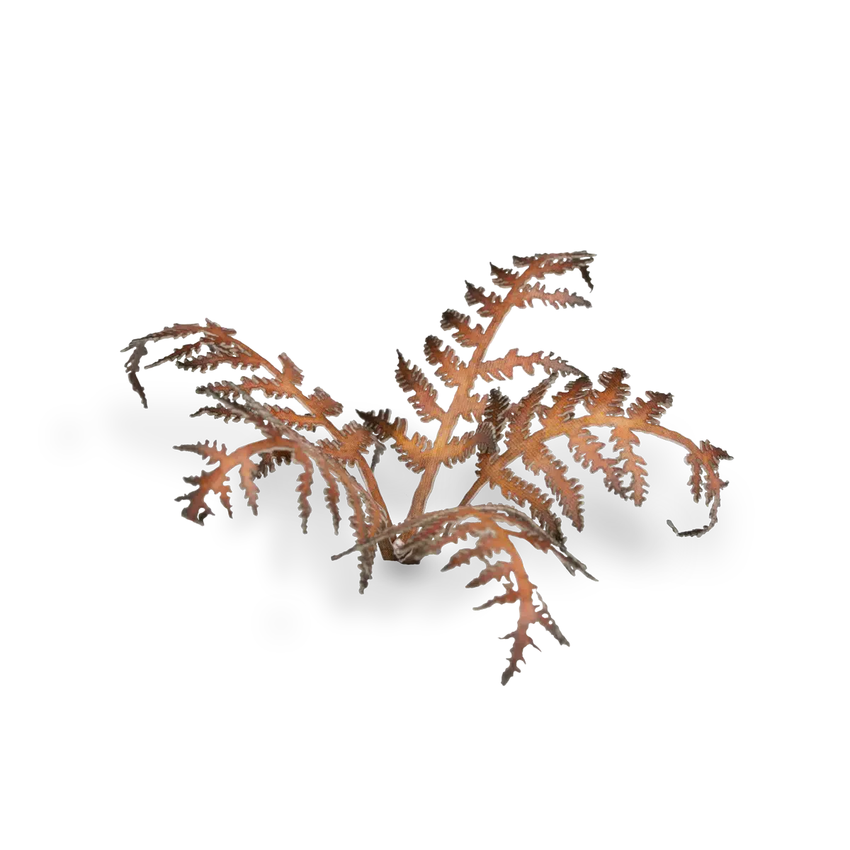 Gamers Grass Laser Plants - Dry Bracken - Image 5