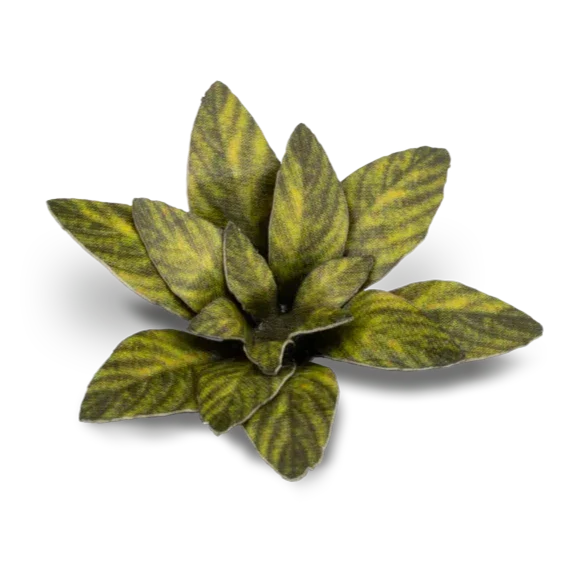 Gamers Grass Laser Plants - Dumb Cane - Image 4