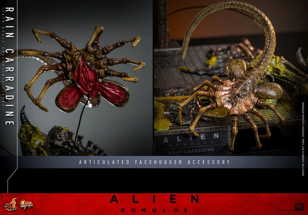 Hot Toys Alien: Romulus Movie Masterpiece Rain Carradine 26cm - Image 22