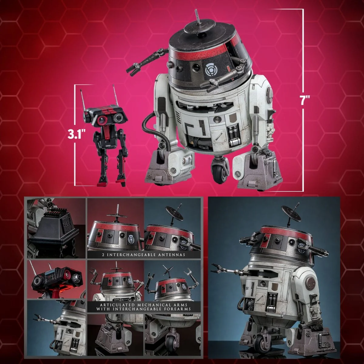 Hot Toys Star Wars: Chopper (C1-10P™) & BD-1™ (Imperial Disguise) 18cm & 8cm - Image 5