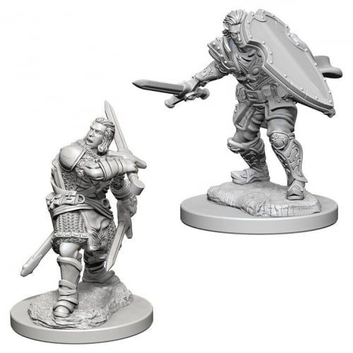 Human Male Paladin: D&D Nolzur's Marvelous Unpainted Miniatures (W3) - Image 3