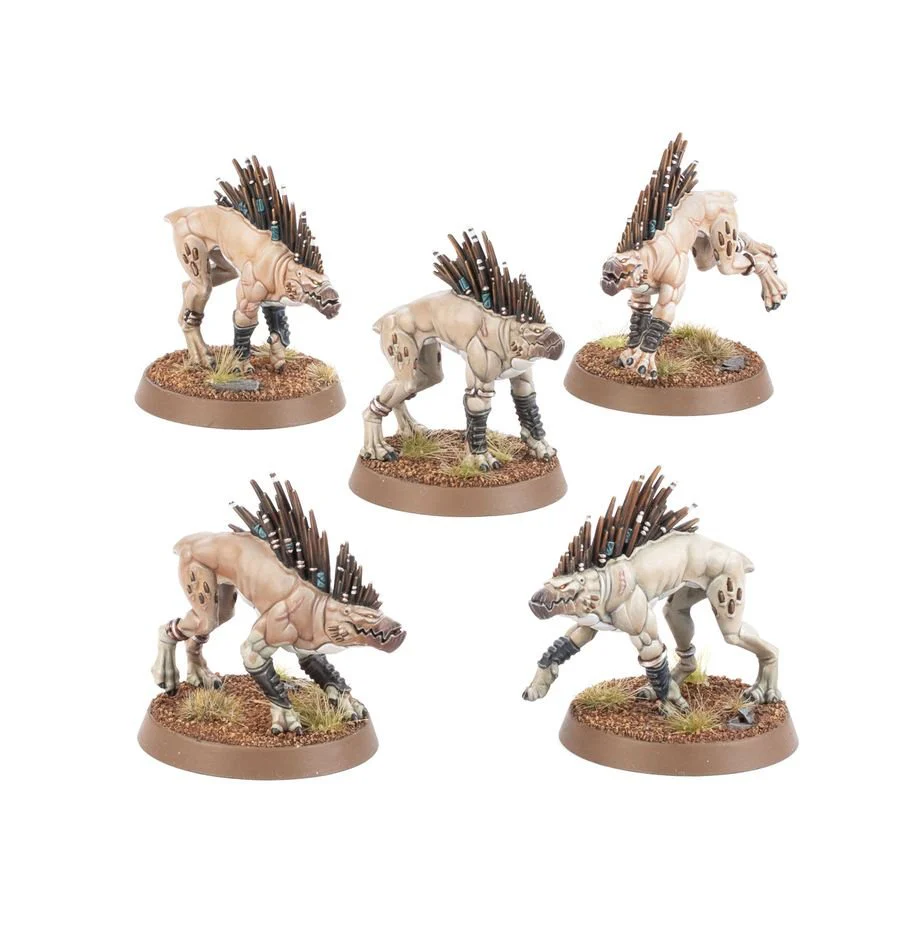 T'au Empire: Kroot Hounds - Image 2
