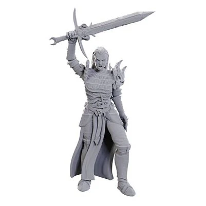 Wizkids - D&D Nolzurs Marvelous Miniatures: Wave 25 - Blackguard