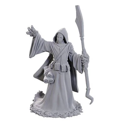 Wizkids - D&D Nolzurs Marvelous Miniatures: Wave 25 - Star Spawn Larva Mage